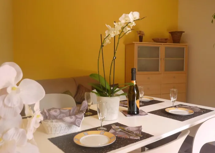 Gallo Mit Ueberdachter Terrasse Parkplatz 100 Mtr Z شقة *